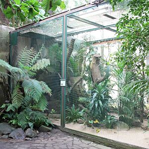 "Jungle trail" from the inside. (24/3-19)