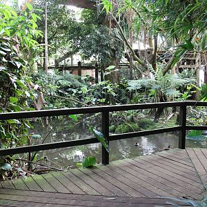 "Jungle trail" from the inside. (24/3-19)