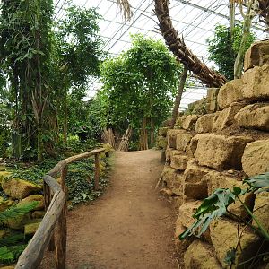 View of pathway in the Tropical hall (Aug 28th, 2018)