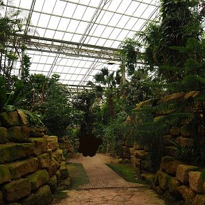 View of pathway in the Tropical hall (Aug 28th, 2018)