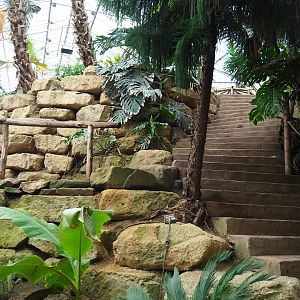 Stairway in the Tropical hall (Aug 28th, 2018)