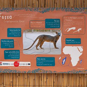 Signage Example - Madagascar Exhibit - 26/03/2019