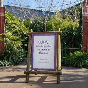 Elephant House Sign - 26/03/2019