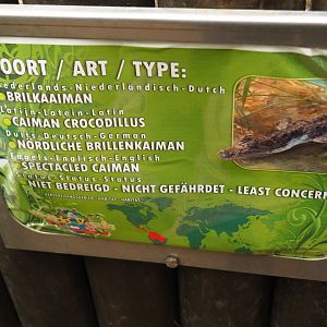 Sign spectacled caiman (Aug 28th, 2018)