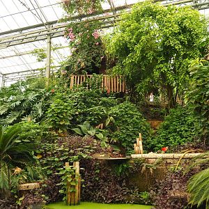 View in Tropical hall (Aug 28th, 2018)