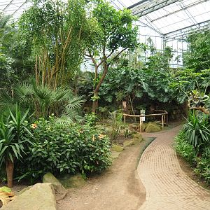 View in the Tropical hall (Aug 28th, 2018)