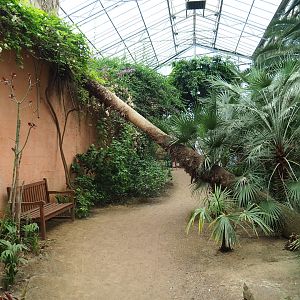 Pathway towards hornbill aviaries with fallen log (Aug 28th, 2018)