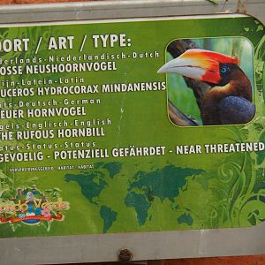 Sign Mindanao rufous hornbill (Aug 28th, 2018)