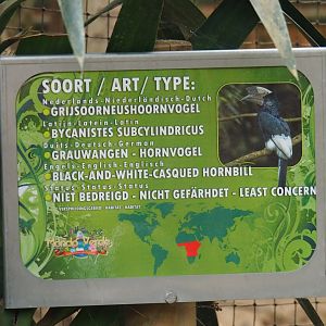 Sign Black-and-white casqued hornbill (Aug 28th, 2018)