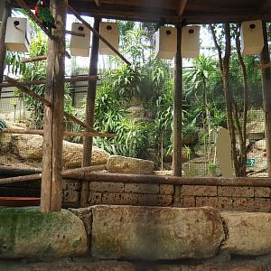 Rainbow lorikeet aviary (Aug 28th, 2018)