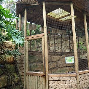 Rainbow lorikeet aviary (Aug 28th, 2018)