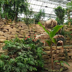 View in the Tropical hall (Aug 28th, 2018)