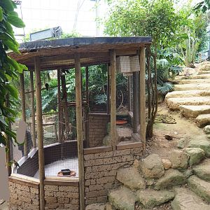 Rainbow lorikeet aviary and stairway (Aug 28th, 2018)