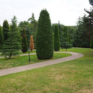 View of gardens near Tropical hall (Aug 28th, 2018)