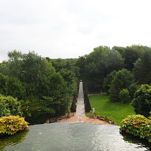 View towards Italian avenue (Aug 28th, 2018)