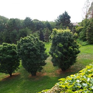 View of gardens (Aug 28th, 2018)