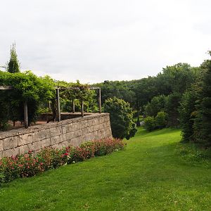 View of gardens (Aug 28th, 2018)