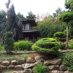 Japanese gardens (Aug 28th, 2018)