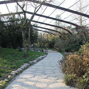 Free flight aviary, "Freiflughalle".