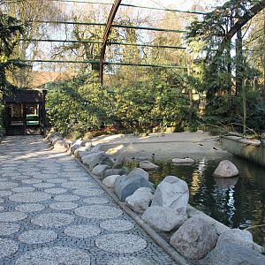 Free flight aviary, "Freiflughalle" - Costal birds