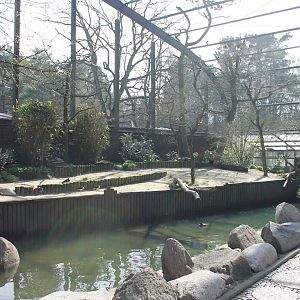 Free flight aviary, "Freiflughalle" - Costal birds