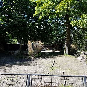 Nilgai - Ostrich enclosure
