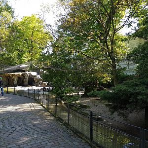 Penguin - Gannet enclosure