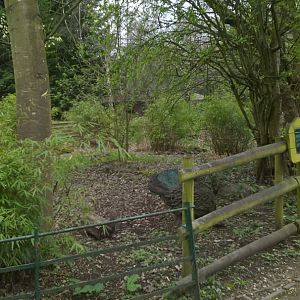 Former White-naped Crane Enclosure