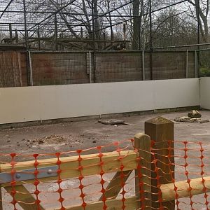 Site Of Former Meerkat Enclosure