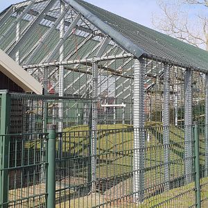 Gibbon Muntjac - enclosure
