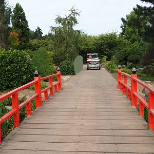 Bridge and pathway in the Japanese garden (Aug 28th, 2018)