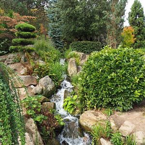 Vegetation and waterfalls in the Japanese area (Aug 28th, 2018)