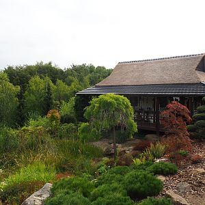 Japanese snack pavillion (Aug 28th, 2018)