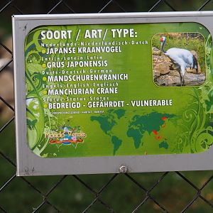 Sign red-crowned crane (Aug 28th, 2018)