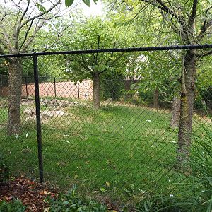 Red-crowned crane exhibit (Aug 28th, 2018)