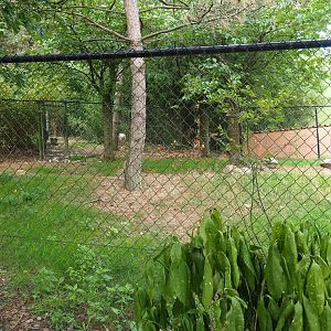 Seemingly empty crane exhibit (Aug 28th, 2018)