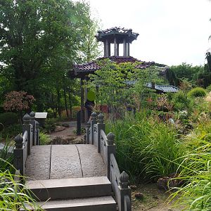 View towards Chinese garden with pond and gazebo (Aug 28th, 2018)