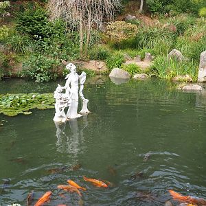 Chinese garden koi pond (Aug 28th, 2018)