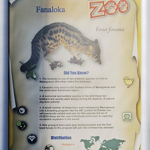 Fanaloka sign