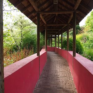 Chinese garden (Aug 28th, 2018)