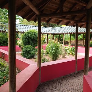 Chinese garden (Aug 28th, 2018)