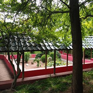 Chinese garden (Aug 28th, 2018)