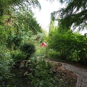 Chinese garden (Aug 28th, 2018)