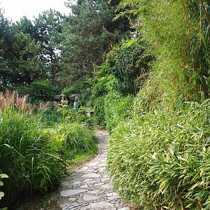 Chinese garden (Aug 28th, 2018)