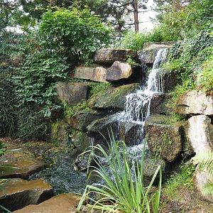 Chinese garden waterfall (Aug 28th, 2018)