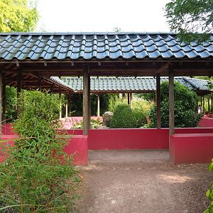 Chinese garden (Aug 28th, 2018)