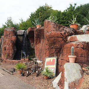 Australian area rocks and vegetation (Aug 28th, 2018)