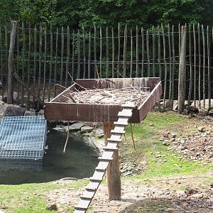 White stork nesting platform (Aug 28th, 2018)