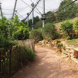 View in large aviary (Aug 28th, 2018)