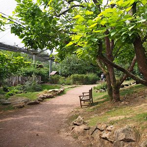 View in large aviary (Aug 28th, 2018)